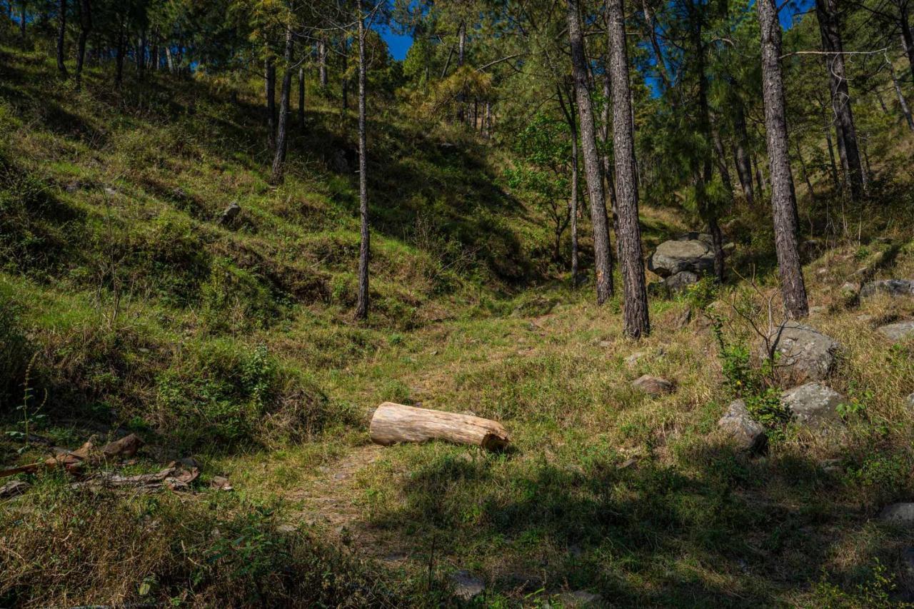 Stayvista At Floradale W Jacuzzi & Wood-Fire Pizza Kasauli Eksteriør bilde
